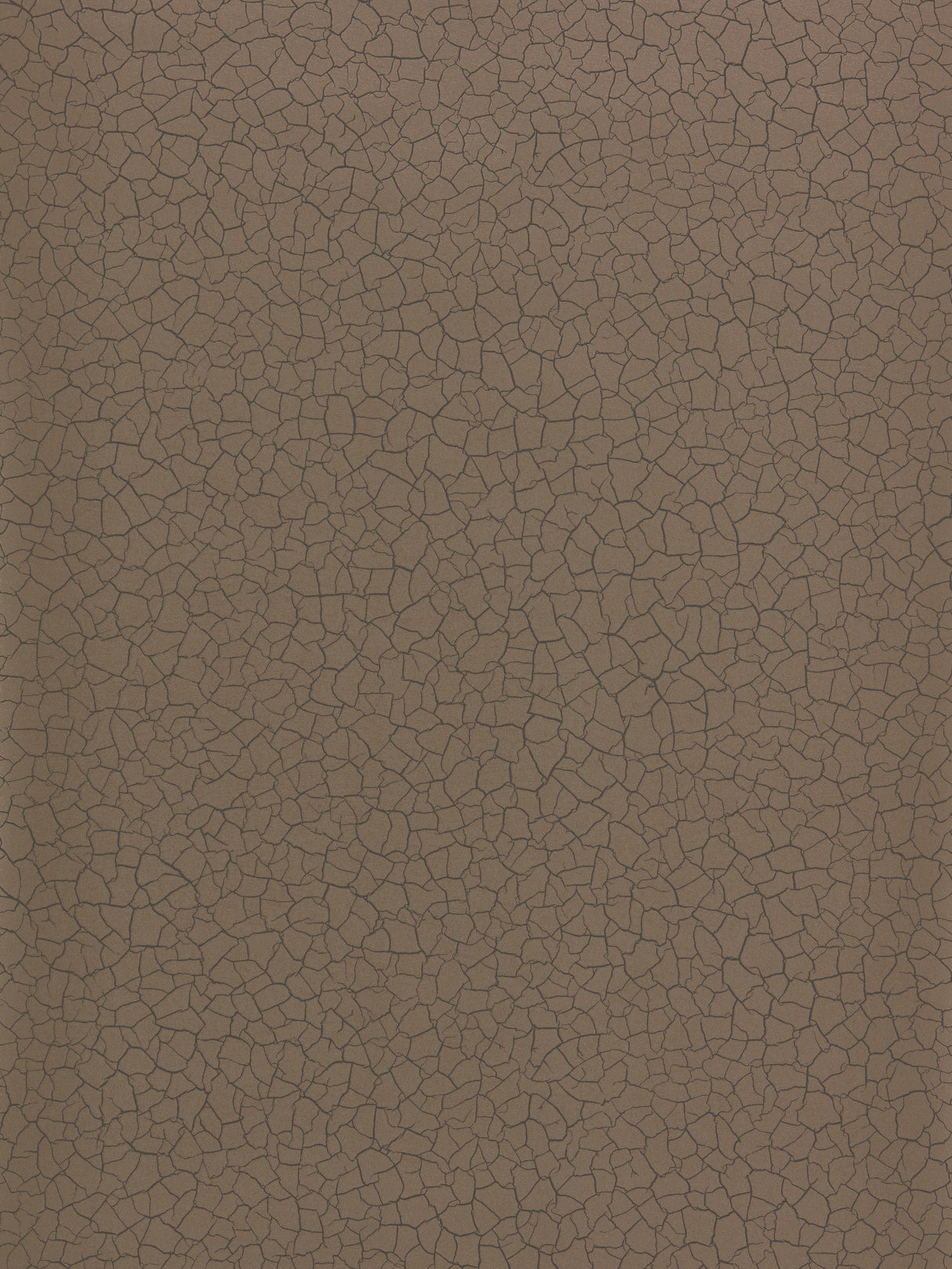Zoffany Cracked Earth Bronze Wallpaper
