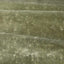 Zoffany Curzon Sage Green Fabric