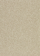 Zoffany Wallis Stone Wallpaper