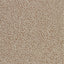 Zoffany Wallis Sable Wallpaper