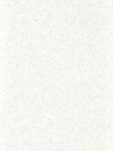 Zoffany Ajanta Perfect White Wallpaper