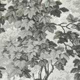 Zoffany Richmond Park Charcoal Wallpaper