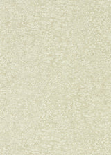 Zoffany Weathered Stone Plain Sandstone Wallpaper
