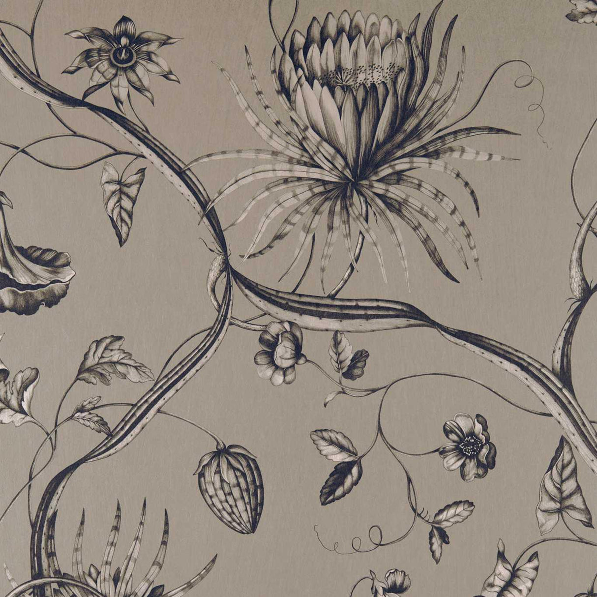 Zoffany Phaedra Phaedra Antique Bronze Fabric