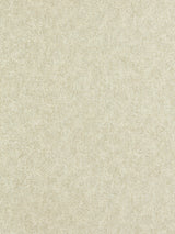 Zoffany Shagreen Platinum Grey Wallpaper