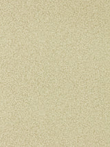 Zoffany Mosaic Fossil Wallpaper