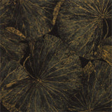 Zoffany Taisho Deco Vine Black Wallpaper