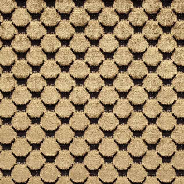 Zoffany Tespi Spot Carbon/Old Gold Fabric