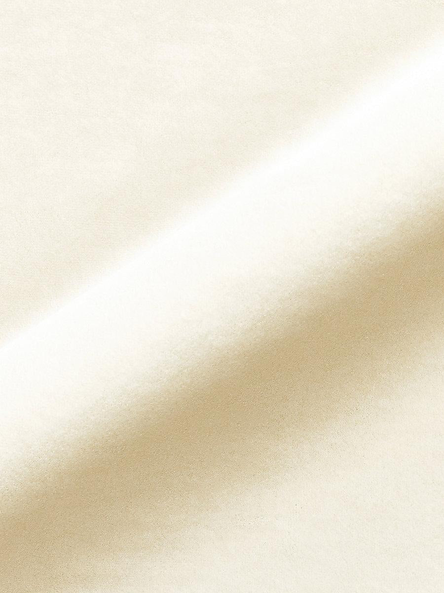 Scalamandre Torino Velvet Buttercream Fabric