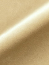Scalamandre Torino Velvet Sand Fabric