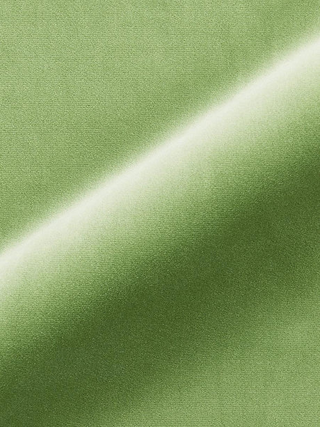 Scalamandre Torino Velvet Meadow Fabric