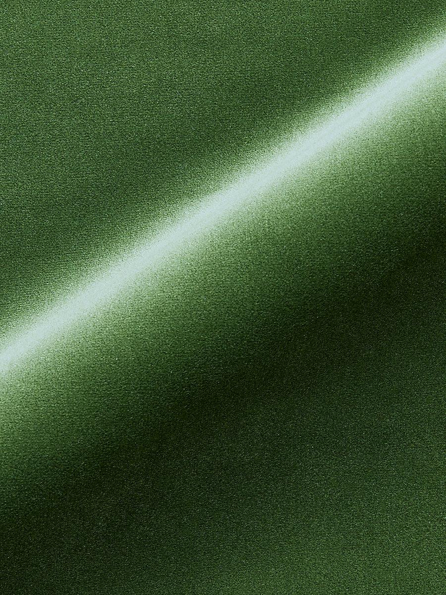 Scalamandre Torino Velvet Jungle Fabric