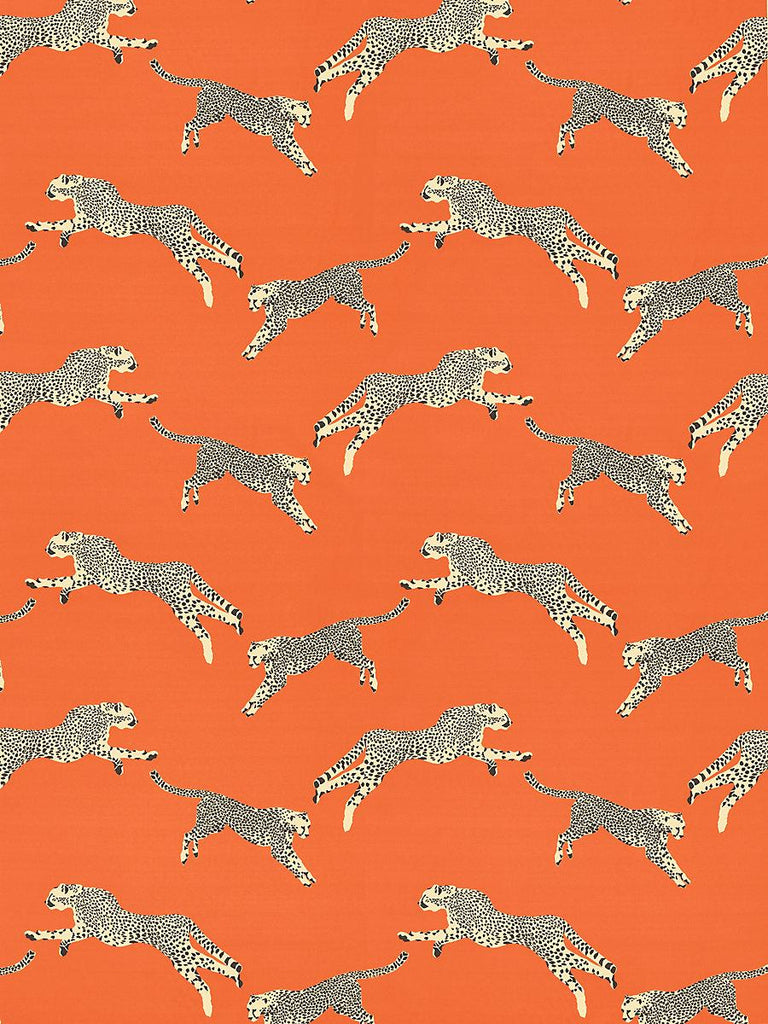 Scalamandre LEAPING CHEETAH COTTON PRINT CLEMENTINE Fabric