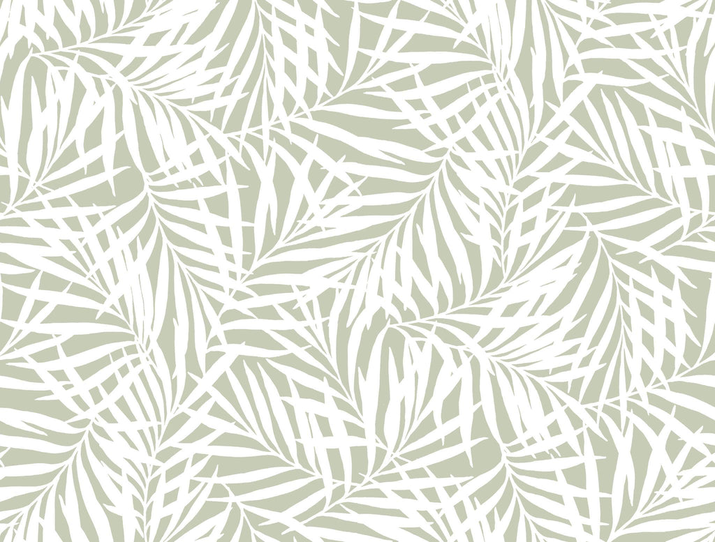York Oahu Fronds Peel and Stick Off White Wallpaper