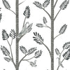 York Aviary Branch Peel And Stick Gray Wallpaper
