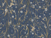 York Marbled Endpaper Peel And Stick Navy Wallpaper
