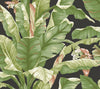 York Banana Leaf Peel And Stick Black/Green Wallpaper