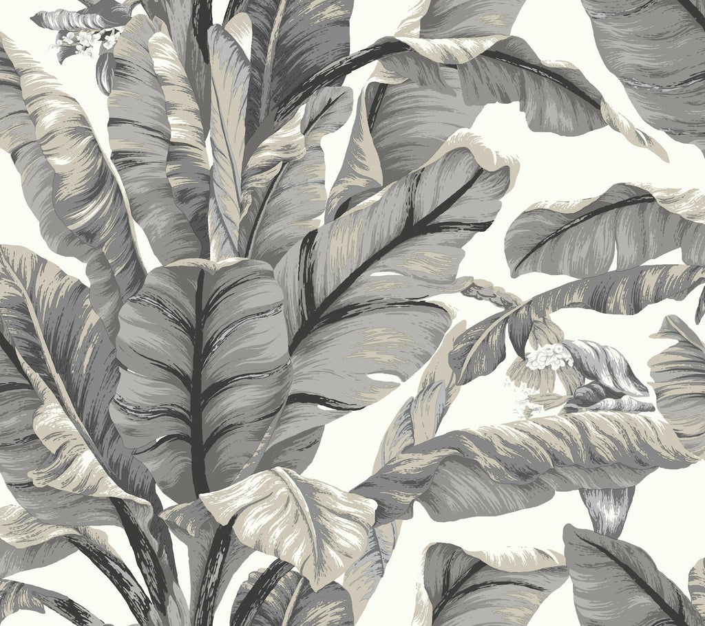 York Banana Leaf Peel and Stick White/Black Wallpaper