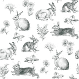 York Bunny Toile Black/White Wallpaper