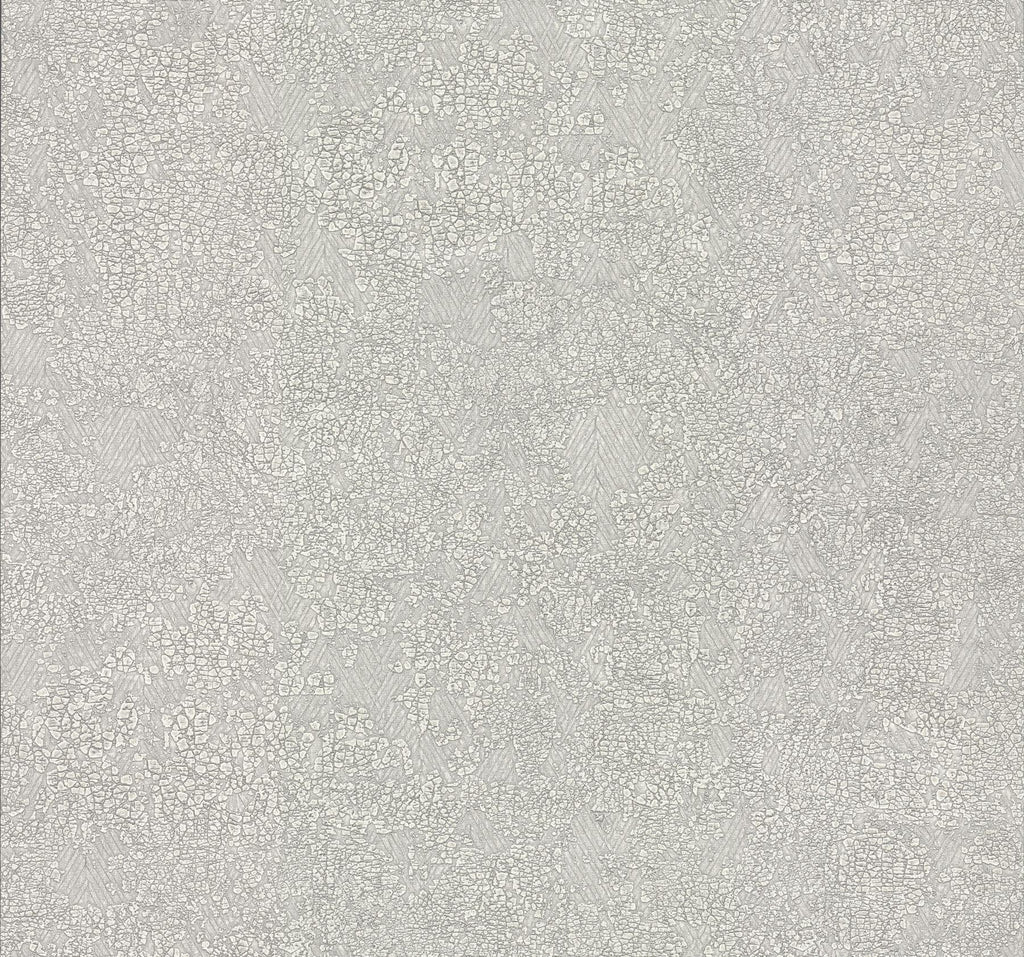 Antonina Vella Weathered Light Gray Wallpaper