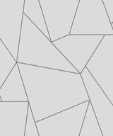 Antonina Vella Nazca White/Silver Wallpaper