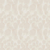 Antonina Vella Feathers Cream Wallpaper