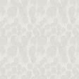 Antonina Vella Feathers White Wallpaper
