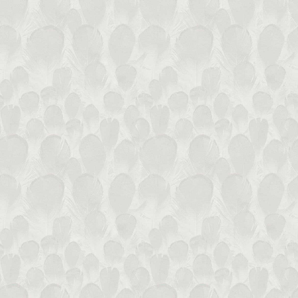 Antonina Vella Feathers White Wallpaper