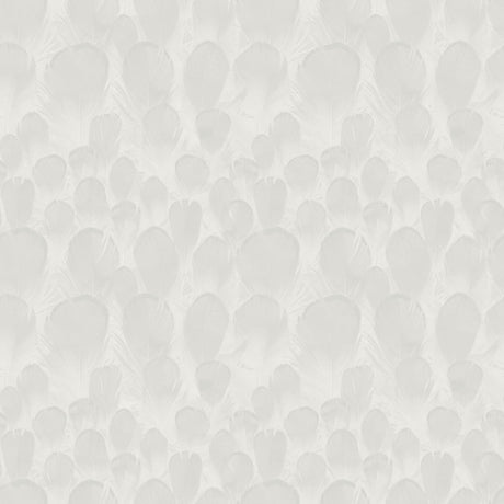 Antonina Vella Feathers White Wallpaper