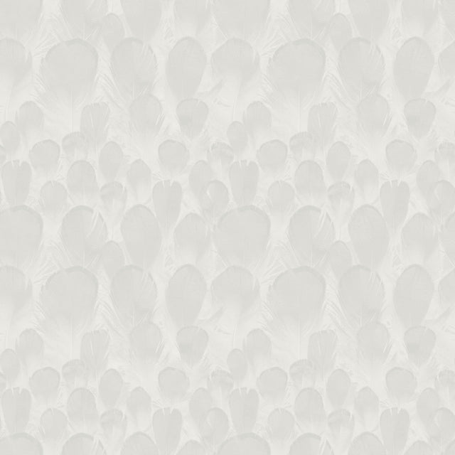 Antonina Vella Feathers White Wallpaper