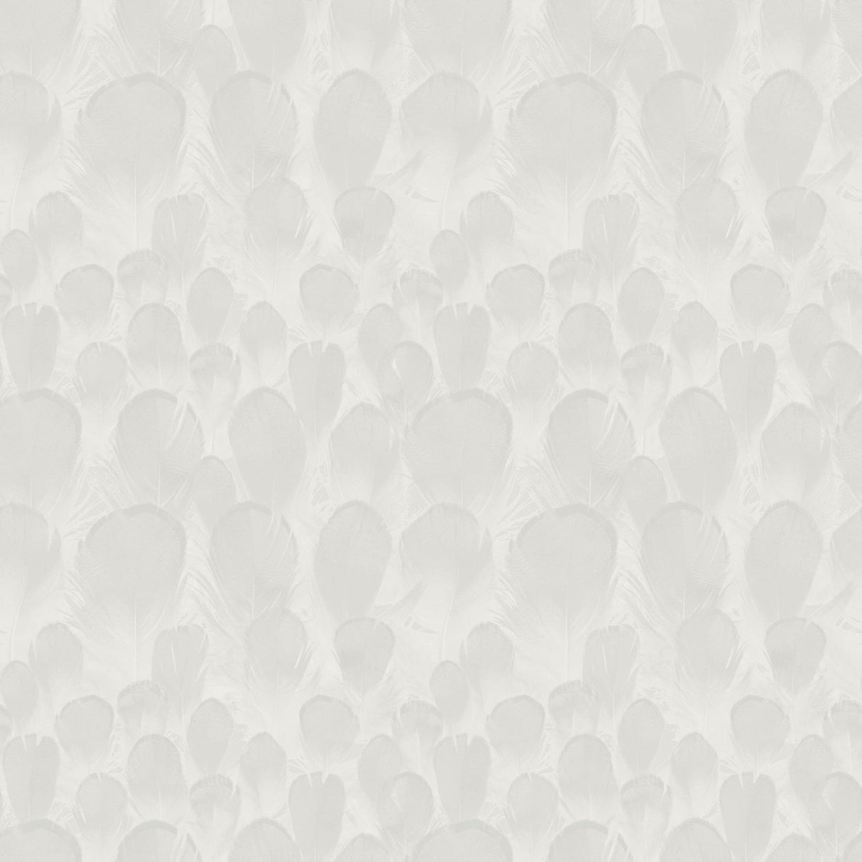 Antonina Vella Feathers White Wallpaper