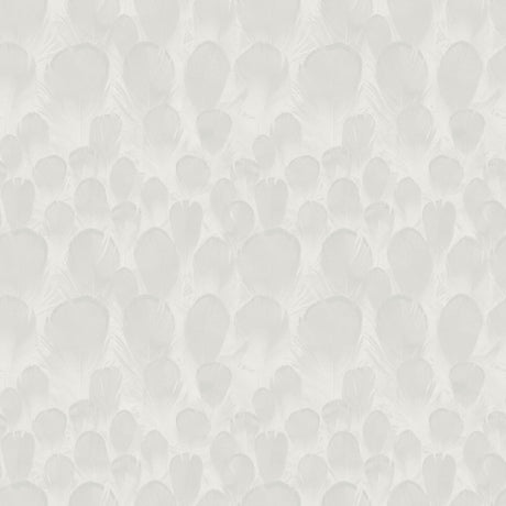 Antonina Vella Feathers White Wallpaper