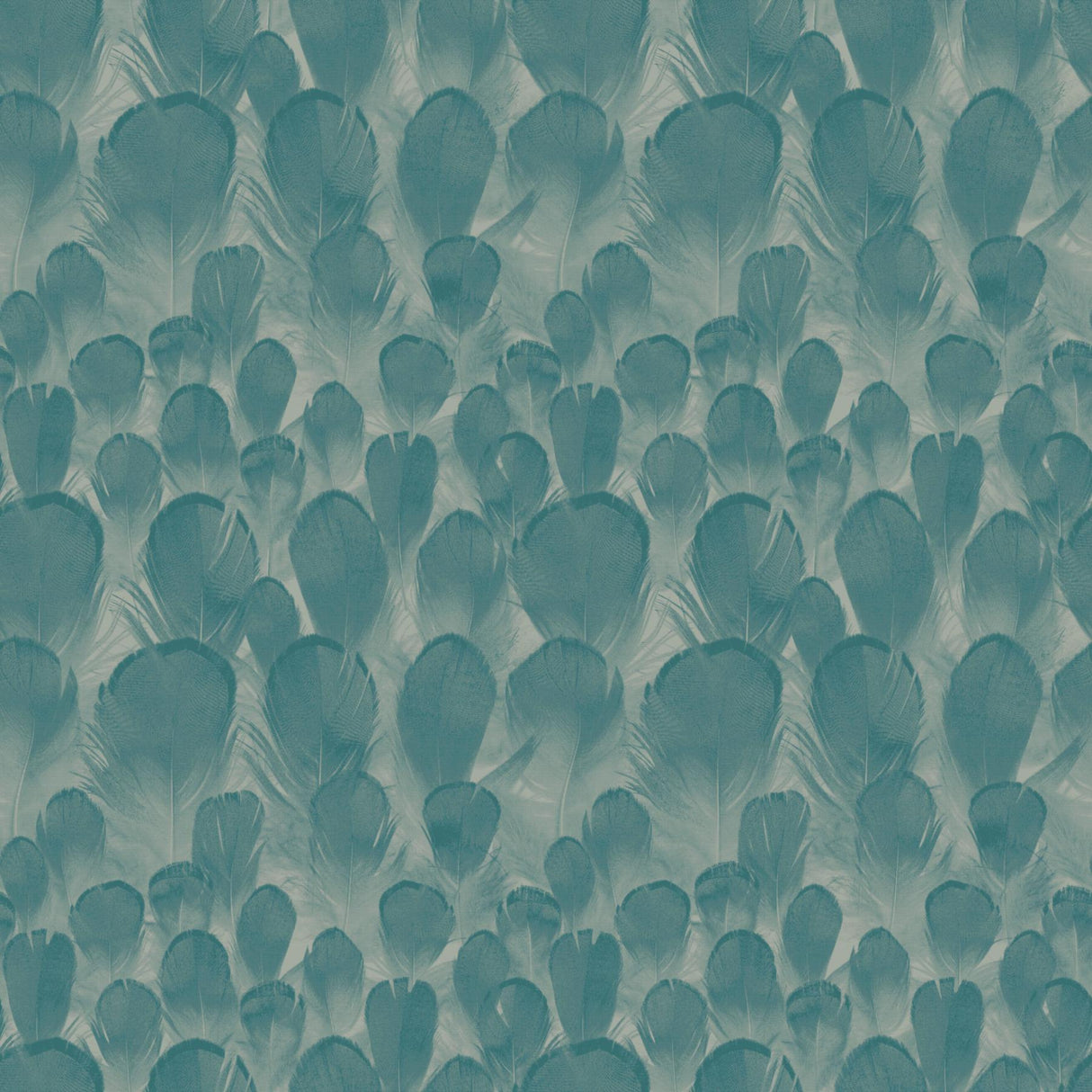 Antonina Vella Feathers Teal/Green Wallpaper