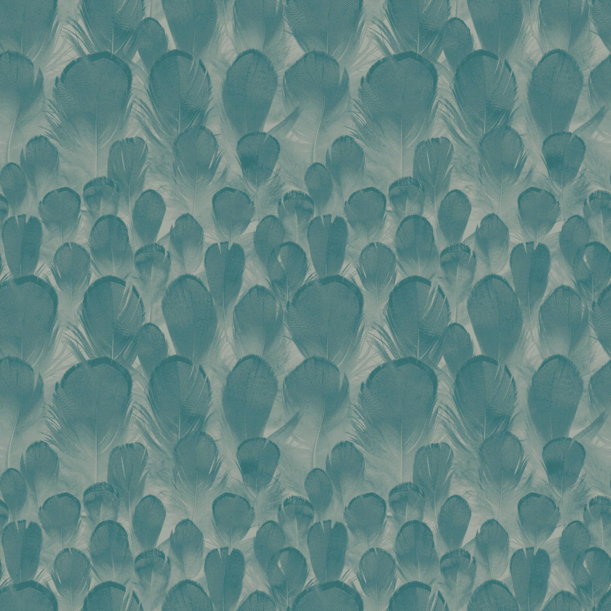 Antonina Vella Feathers Teal/Green Wallpaper