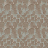 Antonina Vella Feathers Brown/Turquoise Wallpaper