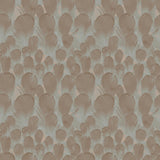 Antonina Vella Feathers Brown/Turquoise Wallpaper