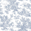 Ashford House Campagne Toile Blue/White Wallpaper