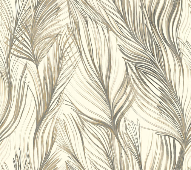 Candice Olson Peaceful Plume Dark Grey Wallpaper