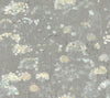 Candice Olson Botanical Fantasy Grey Wallpaper