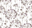 Candice Olson Flourish Purple Wallpaper