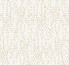 Candice Olson Star Struck Cream/Gold Wallpaper