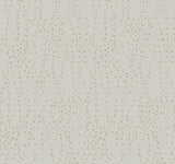 Candice Olson Star Struck Gray/Gold Wallpaper