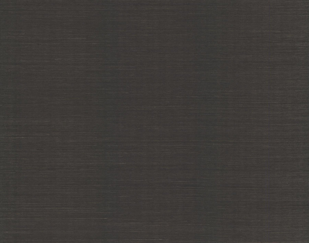 Candice Olson Plain Sisals Black Wallpaper