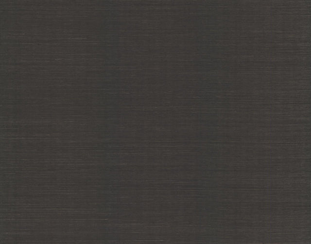 Candice Olson Plain Sisals Black Wallpaper