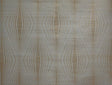 Candice Olson Radiant Gold/Spa Wallpaper