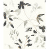 Candice Olson Linden Flower Black Wallpaper