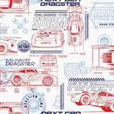 York Disney and Pixar Cars Schematic Red Wallpaper