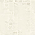 Magnolia Home The Daily Removable yellow/gray Wallpaper