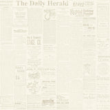 Magnolia Home The Daily Removable yellow/gray Wallpaper