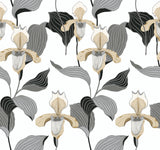 York Lady Slipper Gold/Gray Wallpaper